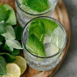 Fresh Mint Mojito